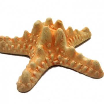 Фото2.Зірка